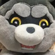 あつの画像