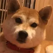 マロン