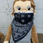 ギャングジョージの画像