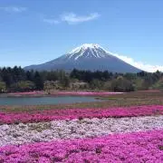 DoubleMの画像