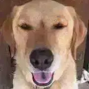とも