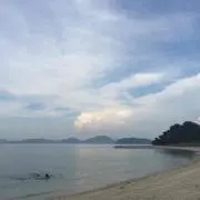 Hamchanの画像