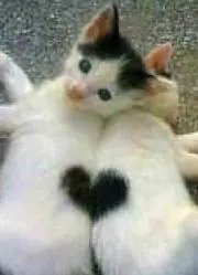 ゆか