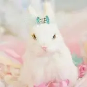 ☆misaki☆ プロフ必読…♡の画像