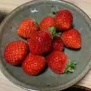 いちご♪の画像