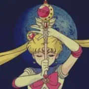 ぽむの画像