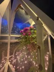 まるまるの画像