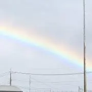 ゆずの画像