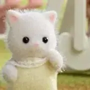 ねこねこの画像
