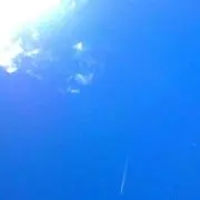 ネマッチ