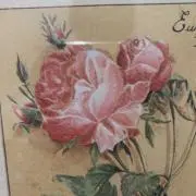 Secret gardenの画像