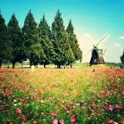 110192の画像