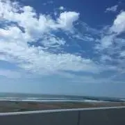 れとろの画像