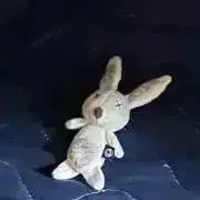 ジャック⭐︎プロフ参照の画像
