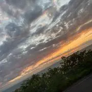 くりの画像