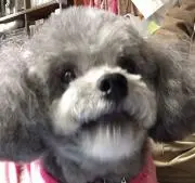 manpuku87