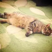 みちゃきの画像
