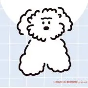 わたあめ♡プロフィール読んでくださいの画像