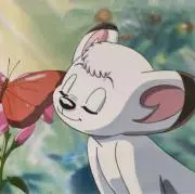 とらこあらの画像
