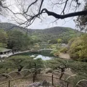 386の画像