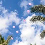 あやかの画像