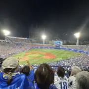 宮﨑サセプタンスの画像