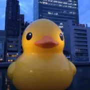 ゆぅの画像