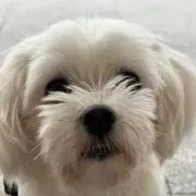 たまたまの画像