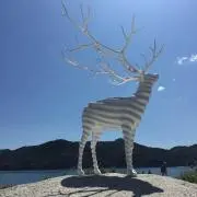 S.Eの画像