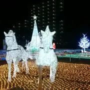 ツナガロッタ