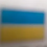 maruの画像