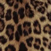 Meeの画像