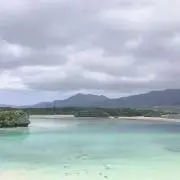 はっちの画像
