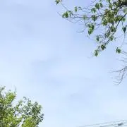 あいの画像