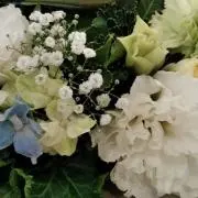 s hana