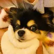 さっちの画像