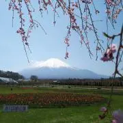 キラキラ