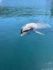 フクオカストアーの画像