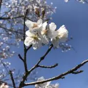 ⭐︎るぅ⭐︎の画像