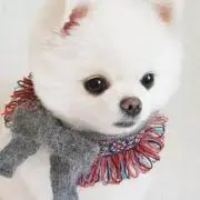 まなぴ(希望額で取引の場合あり)の画像