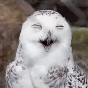 ゆりちゃんの画像