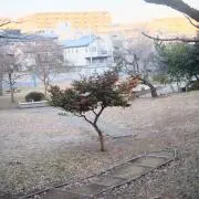 imawa