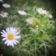 たまママの画像