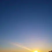 レタス
