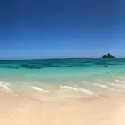 Sevenの画像