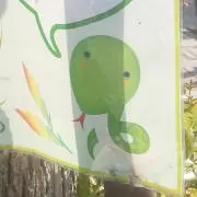 雪枝の画像