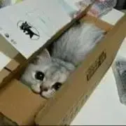 ギャリック