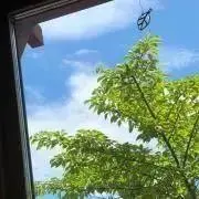 なーなーの画像
