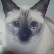むく