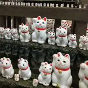 ミナミの画像
